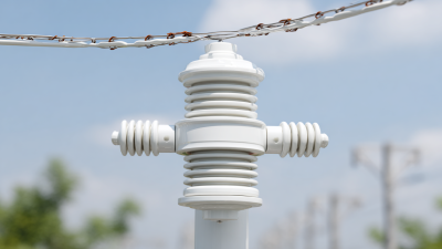 Exploring the Benefits of P-80 Outdoor Post Porcelain Insulators for Sustainable Energy Solutions
