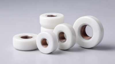 How to Select the Right Fuse Porcelain Bushing for Your Electrical Needs